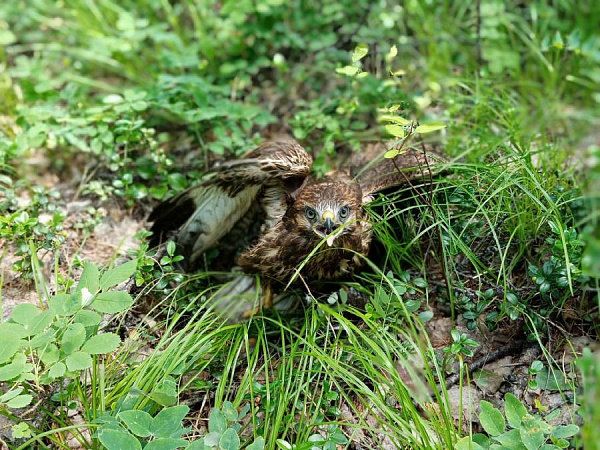 � ������� ������������� ����� ���� �� ��������� � ��������