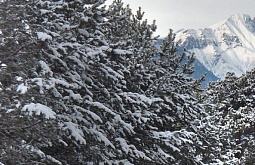 � ��������� ������� � �������� ����� ������� ����� �� -44