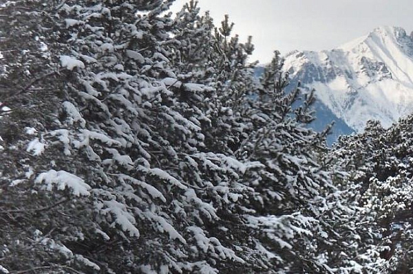 � ��������� ������� � �������� ����� ������� ����� �� -44