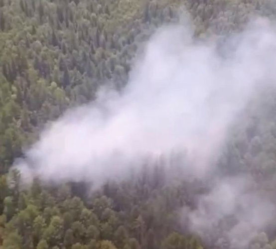 � ����������� ������ ������� ����� ����� �� ��-�� ������ ������� 