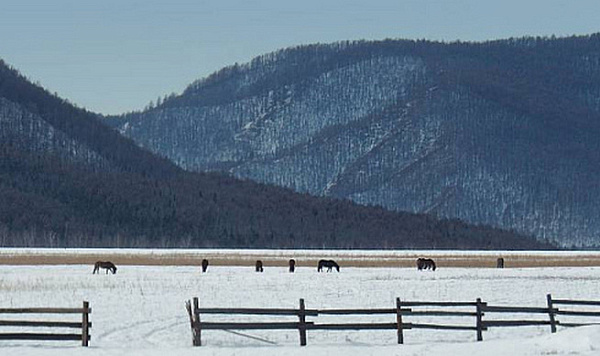 � ������� ��������� ��� ������� �������� ������ � �����