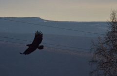 � �������� ������� ������� �������������� �������� ����