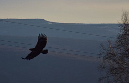 � �������� ������� ������� �������������� �������� ����