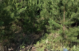 � ������� ��������� ��� ������ �������� ������ ������� 