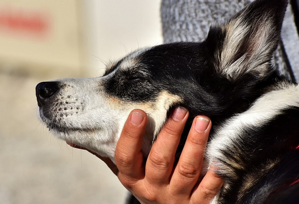 ����-������ ������� �������� ������ ��-�� ��������� 