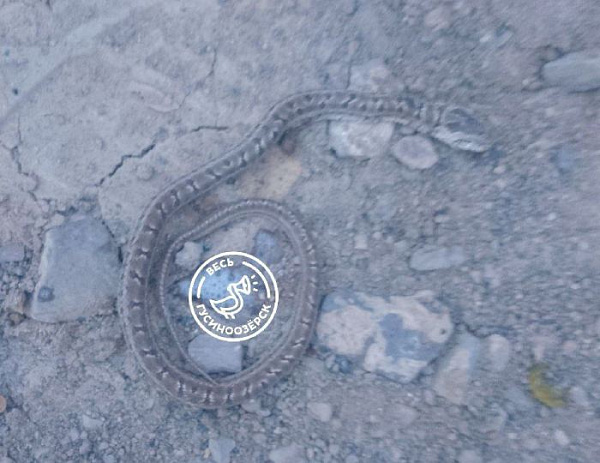 � ��������� � ������� �� ������� �������� ���� 