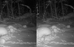 � ������� ���� ������������ ��� ������� �����