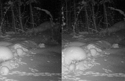 � ������� ���� ������������ ��� ������� �����