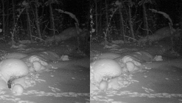 � ������� ���� ������������ ��� ������� �����