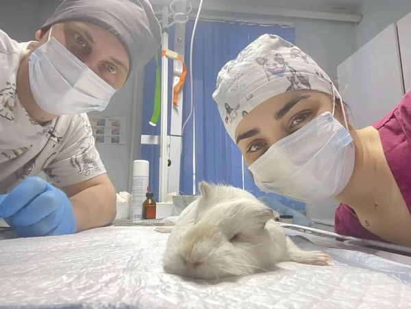 � ��������� ������� �������������� ������� ������ �� ������ ������