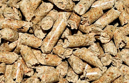 � ������� �������� �������� �� ��������� �����