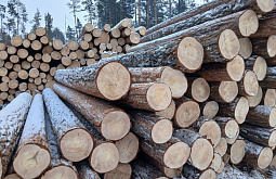 �� ������� � ������ ���� �������������� ����� 6 ����� ���������� ���� 