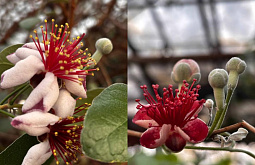 � ���� �������� � �������� ���� ������� ������