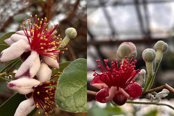 � ���� �������� � �������� ���� ������� ������