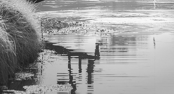 �������� �� ������ ������� ������ � �������