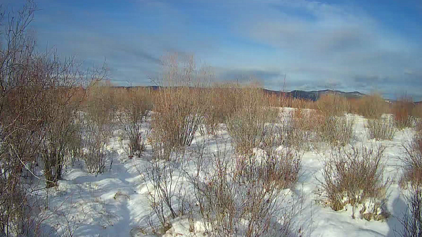 � ������� ������������ ������������ ����������� �� ������ �� ������� 