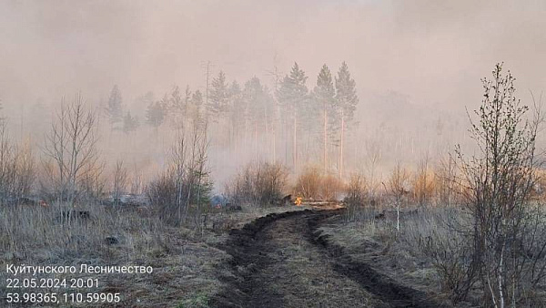 ��� ������ ������ ����� � �������