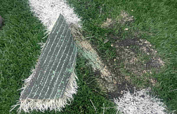 ����-������ �������� �� ��������� �� ���� ������������� 