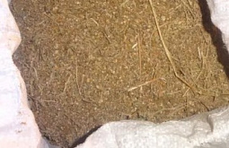 ����-������ ������� � ���� � ���������� 