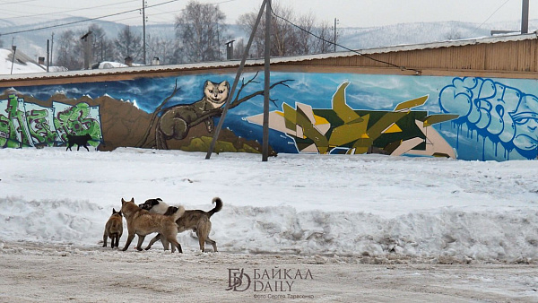 ��������� �������� ���� ������� � ����-���