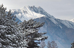 ��������� ��� ���������: ��������� ������ �������� �������� ����� ���������� �������� �������