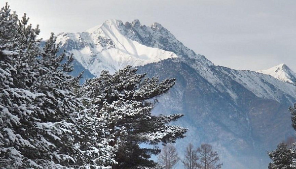 ��������� ��� ���������: ��������� ������ �������� �������� ����� ���������� �������� �������