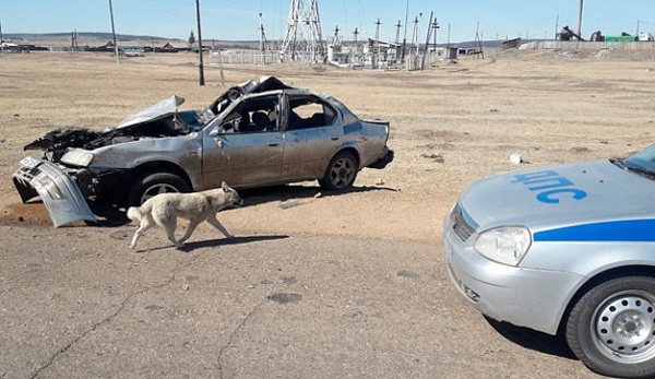 � ������� ������ �������� ��� ���� ������� ��� 