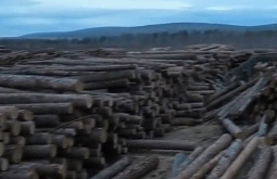 � ������� �������, ��� ��� ����� ������ ������