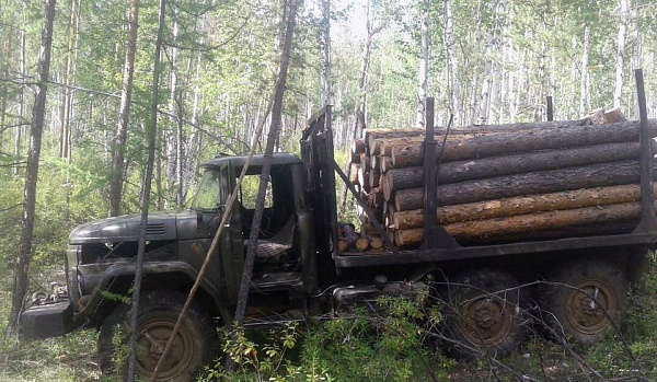  �׸����� ��������� � ������� ��������� � ������� �������� 