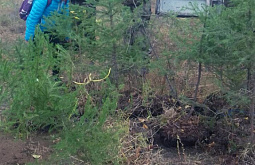 � ������� ��������� � �������� �������� ����� 