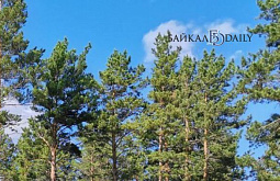 ������ �� ����-��� ������� ������� ������ ����� �� ������� ������