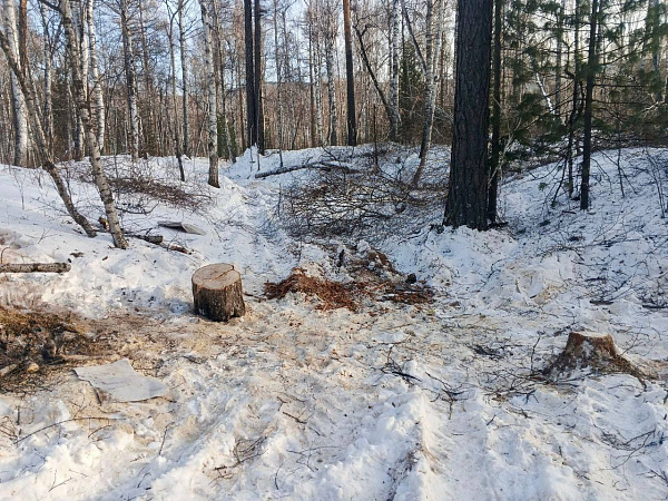 � ������� ���������� �������� �������� ������ ����������� ���� �� ��������