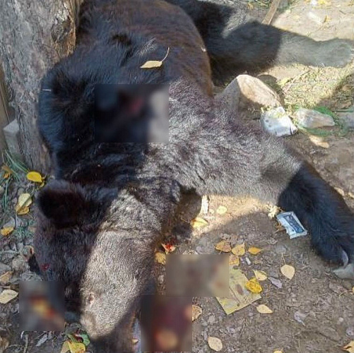 � ������� ���������� �������, ��������� � ����� �� ������