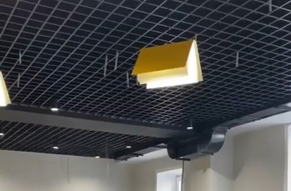 ��� ����-��� �������, ��� ������� 113-�� �������� ������� 