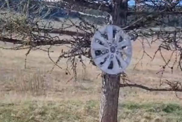 � ������ ������� ������������� ������ ������ � ������ �������� �� ������ ������