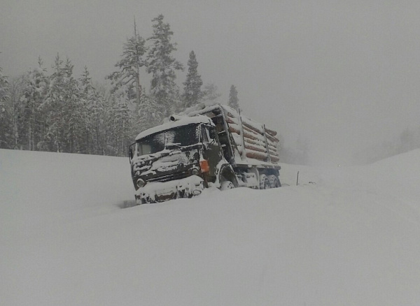 � ������� ���� ��������� �� ������� �������. ���� 