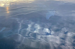 � ������ ������� ���������� ������� ��������� 