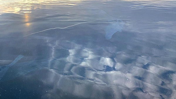 � ������ ������� ���������� ������� ��������� 