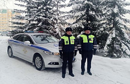 � ���������� ����������� ������ ������������ 5-������ ������� 