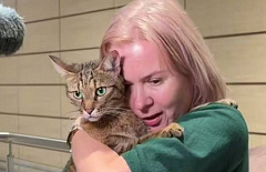 Пропавшего в поезде у Казани кота нашли на БАМе