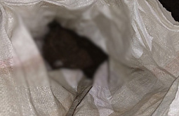 У жителя Бурятии изъяли почти 20 килограммов марихуаны 