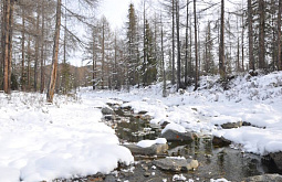 � ���������� ����������� �������� 14 ���������� �������