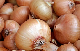 � ������� ���������� �������� � ��������� ��������� ����