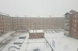 ������ ������� �������� ��������� �����