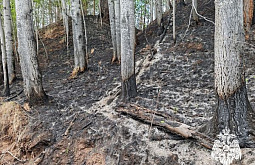 � ��������� ������� ����� ������ ��������� �������� ������� ������ 