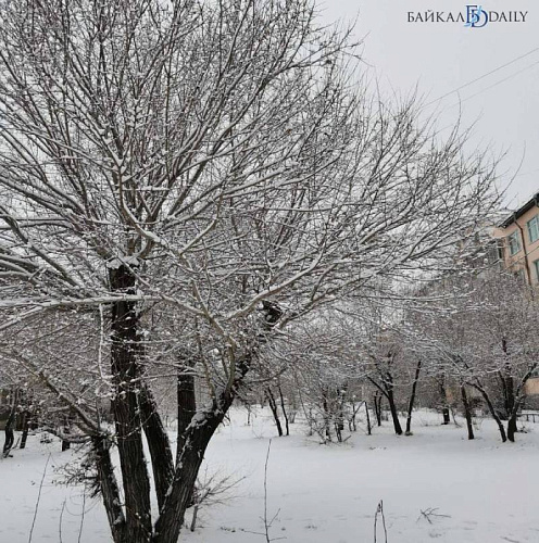 ������� ������ ���������� � �������