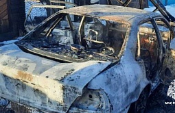 � ����-��� ������ ���������� 