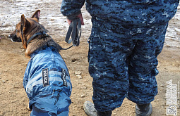 � ��������� ������� �������� ������ ��������� � ����������� 