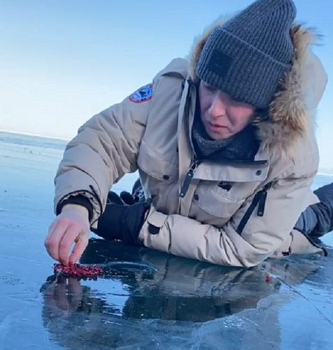 ��� ��������: ��� ���������� � �������� - ������, �� ���� 