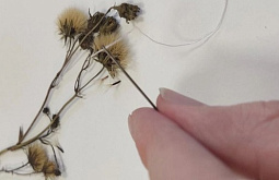 � ��������� ������� ���������� ��������� ��������